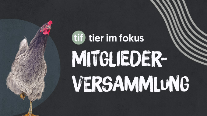 Einladung zur Mitgliederversammlung 2024