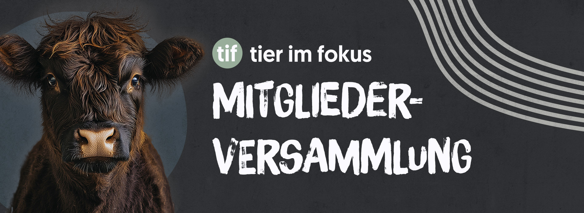 Einladung zur Mitgliederversammlung 2025