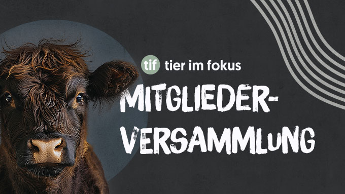 Einladung zur Mitgliederversammlung 2025