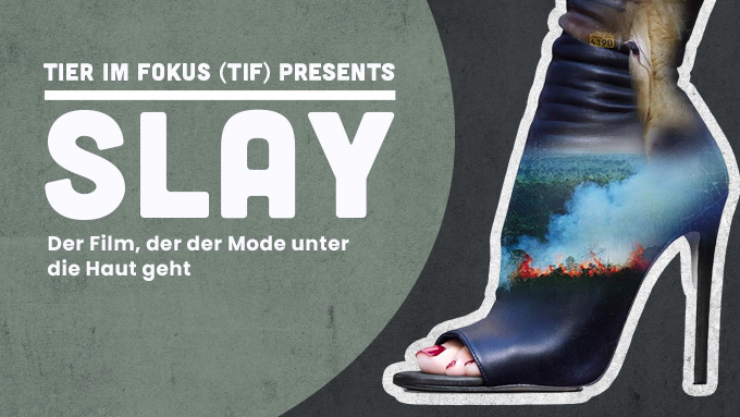 SLAY - der Film, der der Mode unter die Haut geht