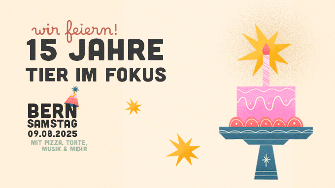 15 Jahre Tier im Fokus – wir feiern!