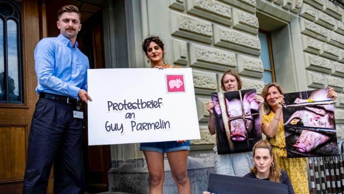 Tier im Fokus (TIF) übergibt Protestbrief für schärfere Tierschutzkontrollen