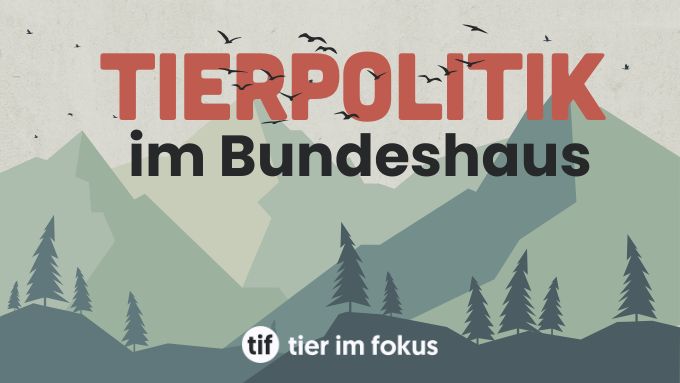 Rückblick auf die Frühjahrssession 2026