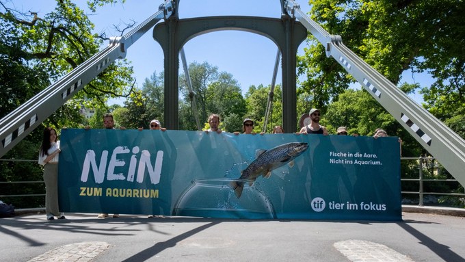 Tier im Fokus sagt Nein zum Ausbau des Tierparks Bern