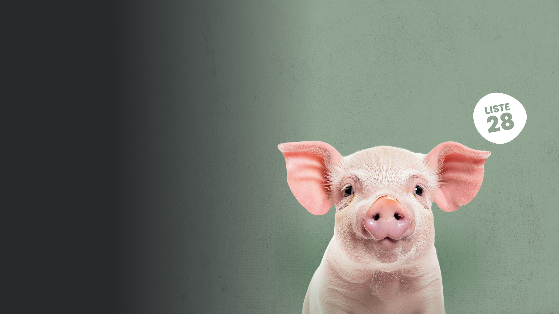 Weil Tiere deine Stimme brauchen
