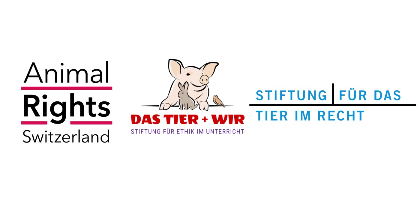 unterstützende Organisationen