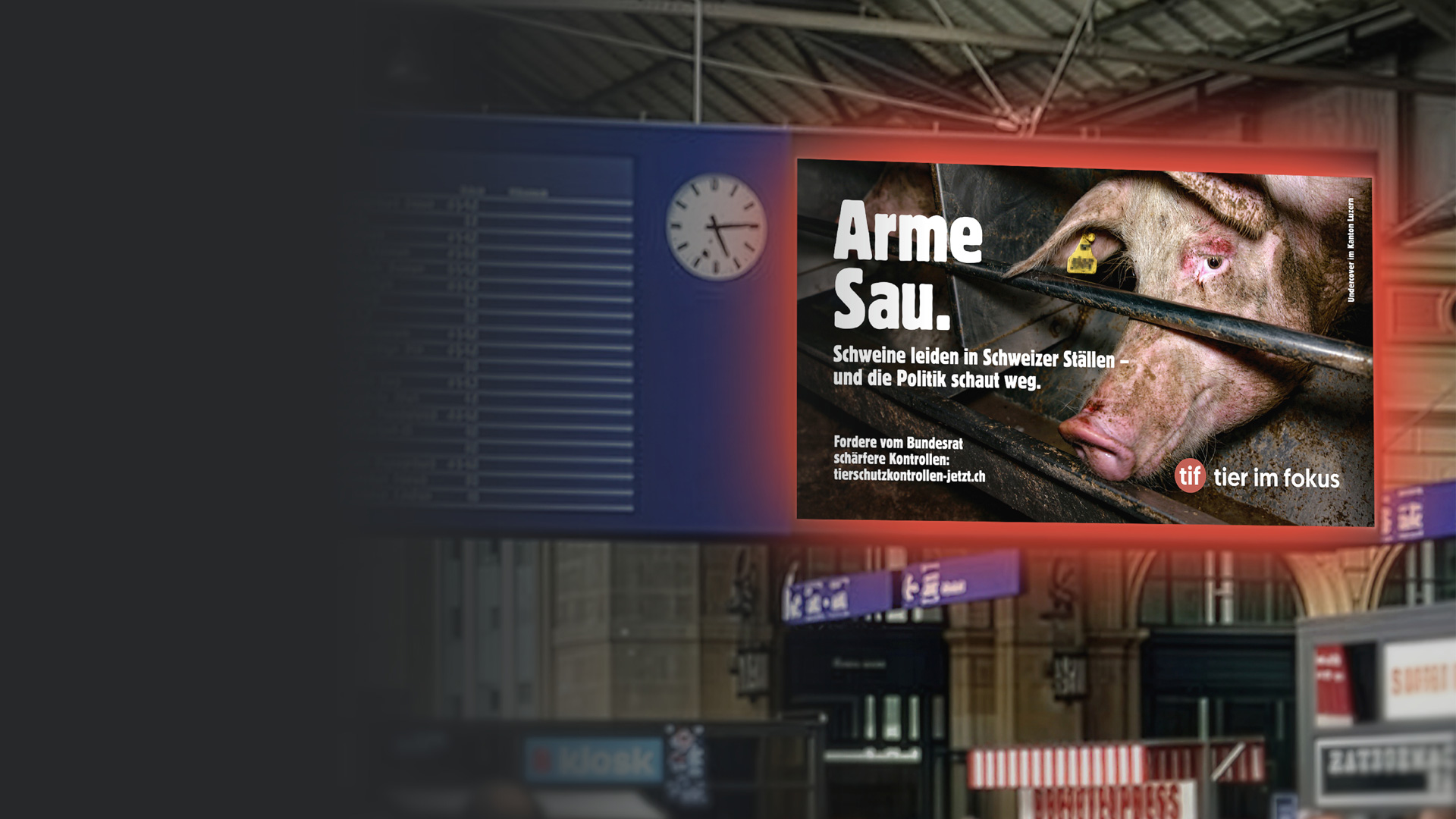 Mach Tierleid in Bahnhöfen sichtbar