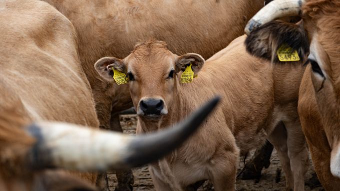 Klimakrise – die Landwirtschaft als Teil der Lösung