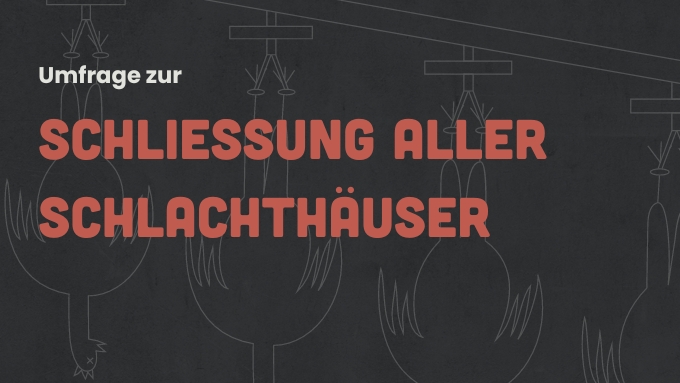 Umfrage Schlachthäuser