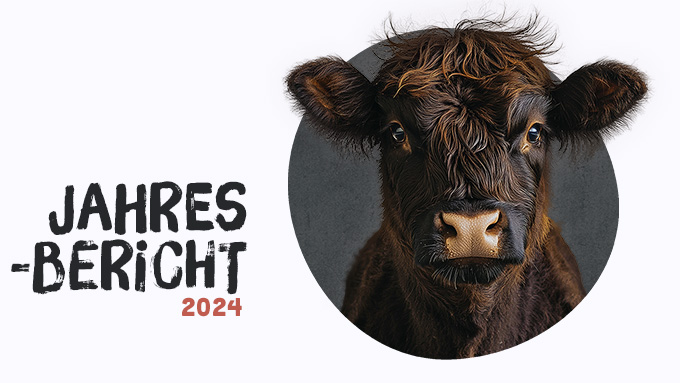 Jahresbericht 2024