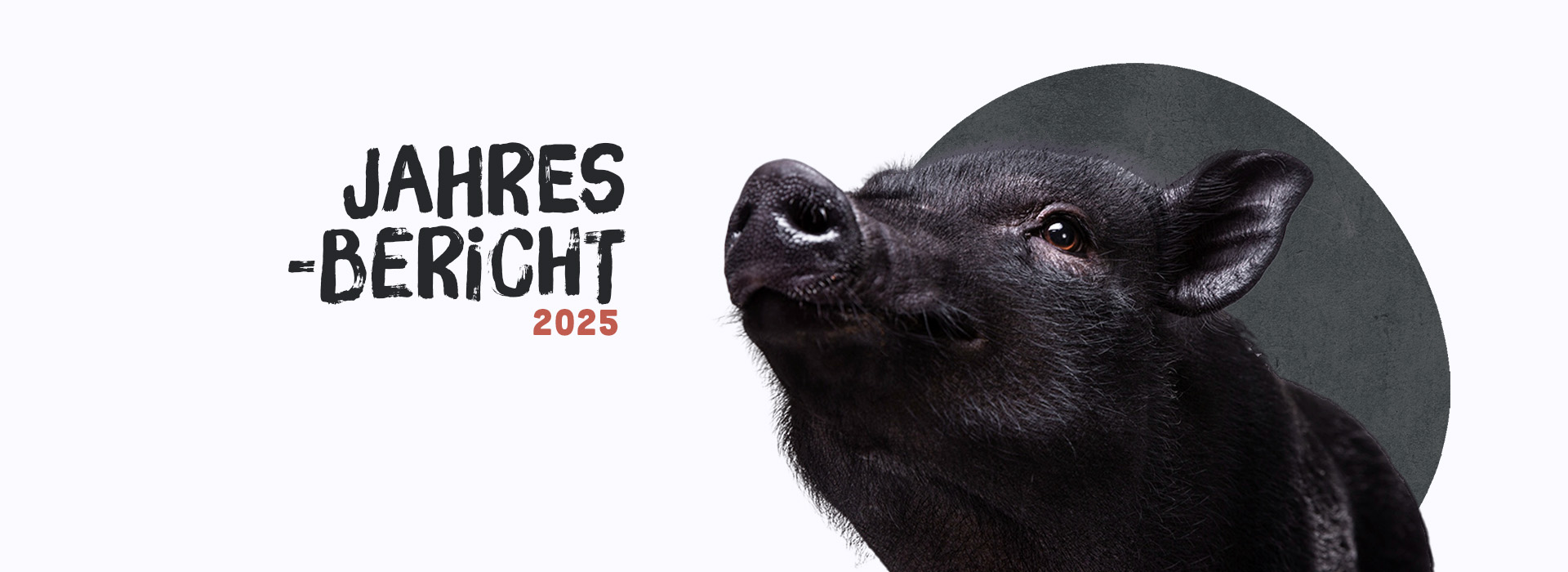 Jahresbericht 2025