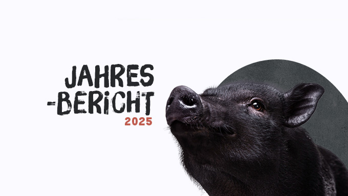 Jahresbericht 2025