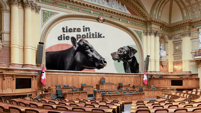 Die Stimme der Tiere
