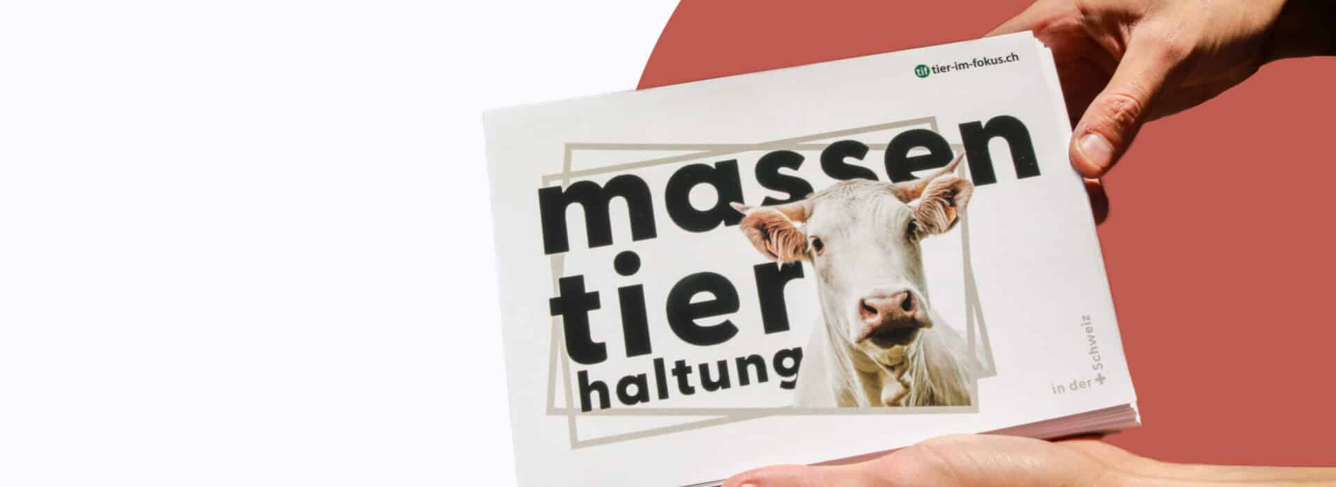 Jahresbericht 2022