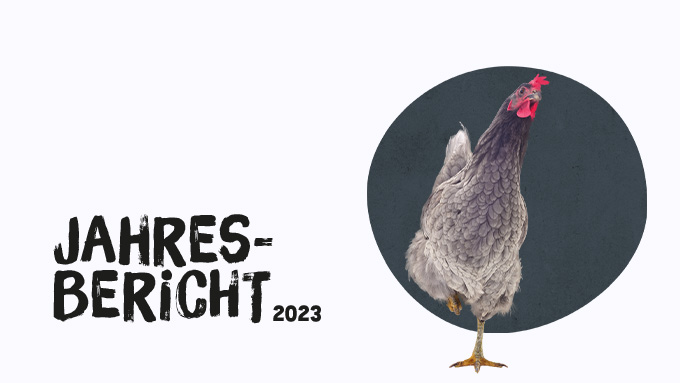 Jahresbericht 2023