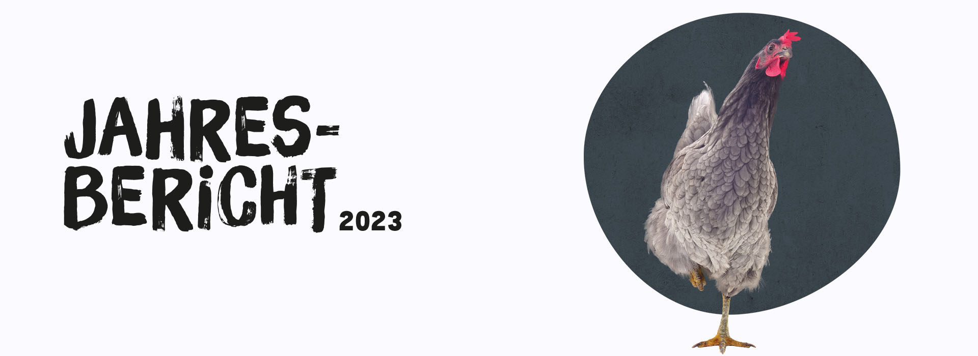 Jahresbericht 2023