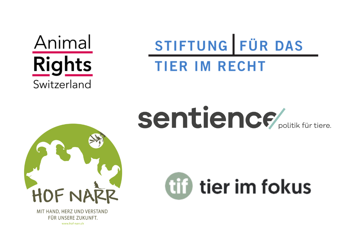 Gemeinsame Medienmitteilung