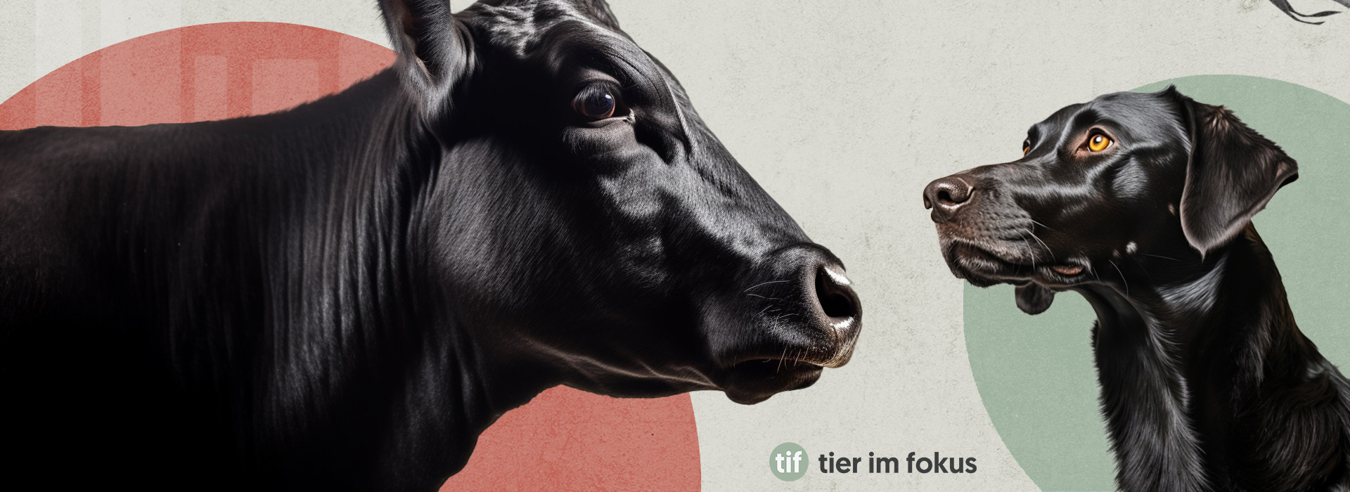 Tiere in die Politik