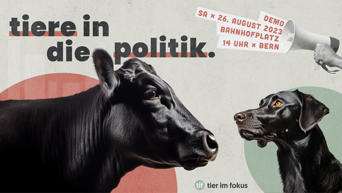 Tiere in die Politik