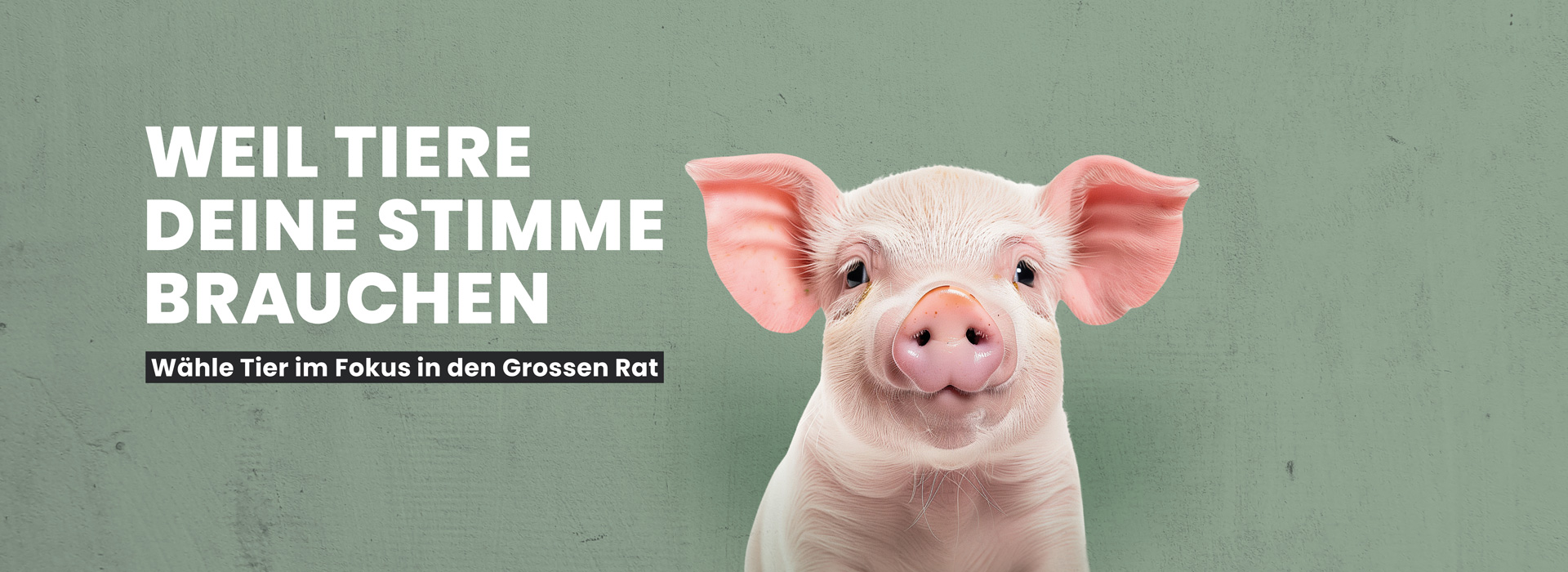 Wahlprogramm Grosser Rat von Tier im Fokus (TIF)