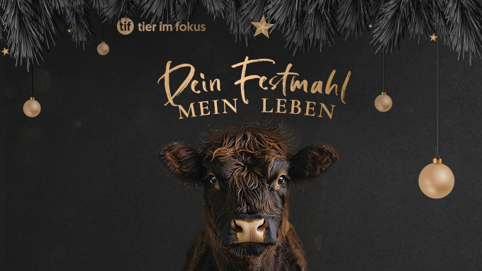 Weihnachten