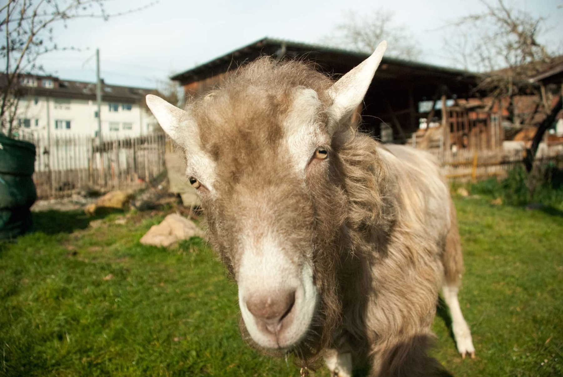 Bild von Zeus