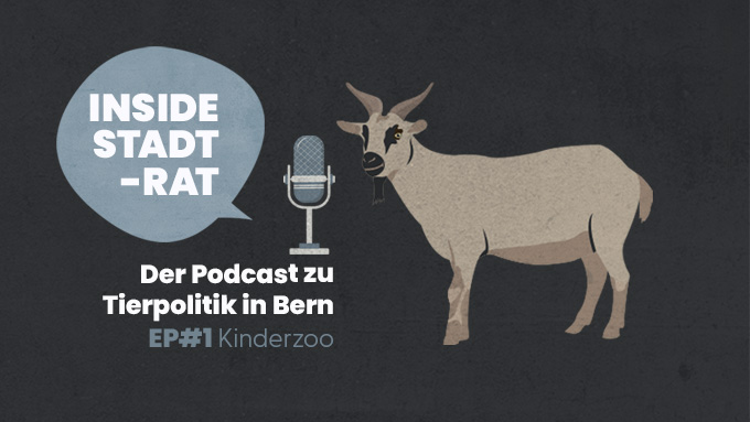 Soll der Kinderzoo erhalten bleiben?