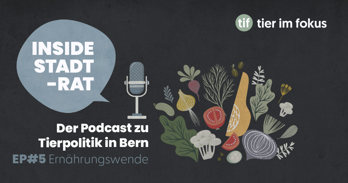 Ernährungswende: Klimaschutz auf dem Teller