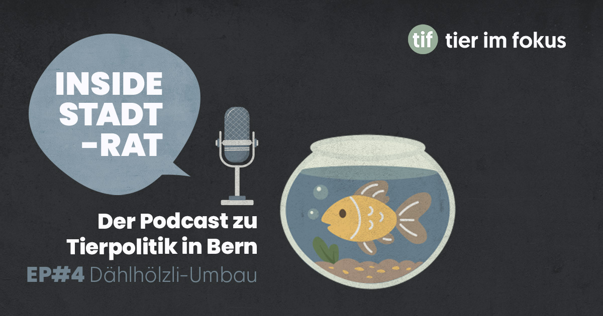 Wettrüsten im Tierpark: Geht es noch um die Tiere?