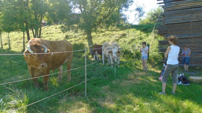 Besuch bei Mino, Tamay und Rosa
