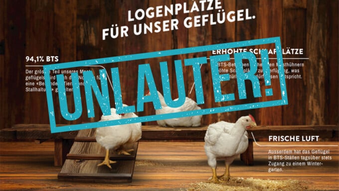 Unlauter! Lauterkeitskommission rügt Proviande wegen Fleischwerbung