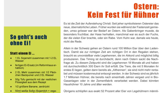 Bulletin 01/2011