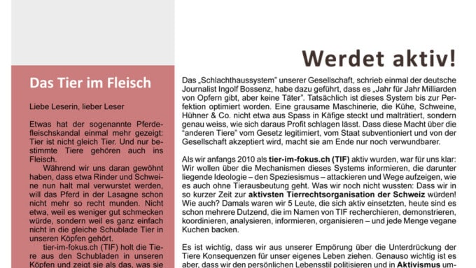 Bulletin 01/2013