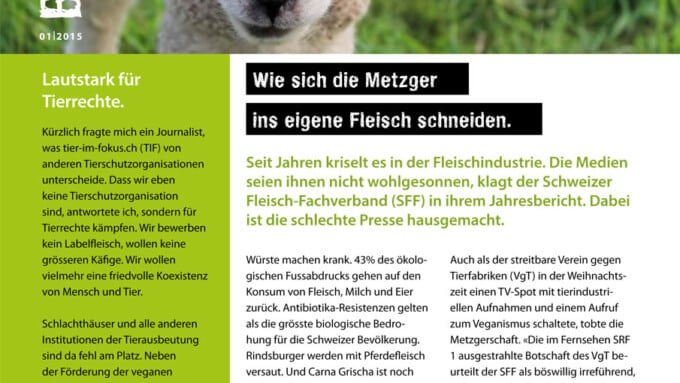 Bulletin 01/2015