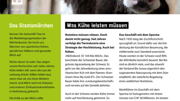Bulletin 01/2017