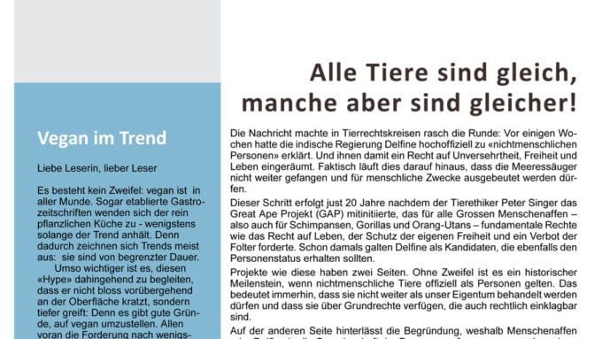 Bulletin 02/2013