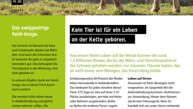Bulletin 02/2015