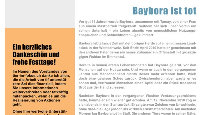 Bulletin 03/2010