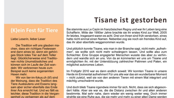 Bulletin 03/2013