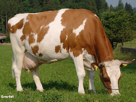 CH 712.1640.5235.2: zum 2.000sten Mal 100.000 kg