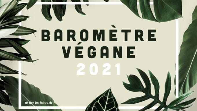 Comment se présente le mouvement végane ?