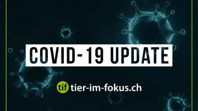Covid-19 Update