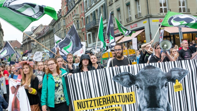500 protestieren für die Abschaffung der Nutztierhaltung