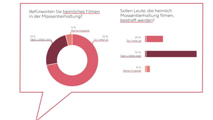 Die Bevölkerung steht hinter heimlichen Stallaufnahmen