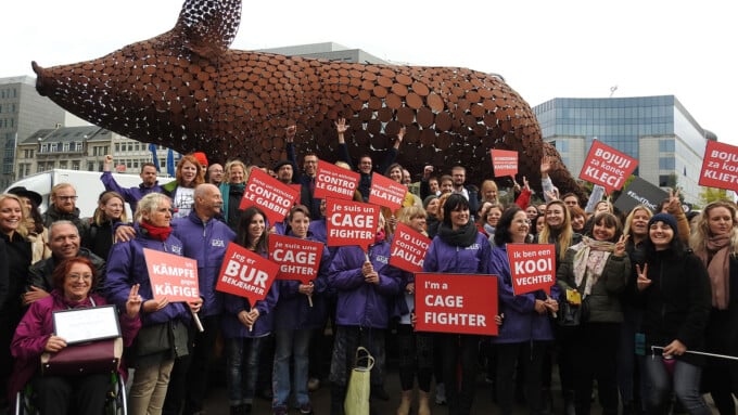 «End the Cage Age»: Die Bürgerinitiative und ihre Bedeutung für die Initiative gegen Massentierhaltung