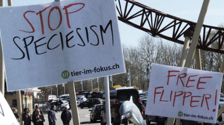 Erst die Ethik, dann die Politik?