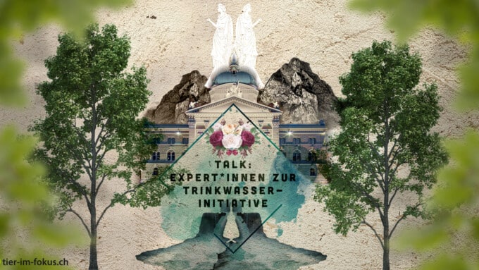 Expert*innen über die Trinkwasserinitiative