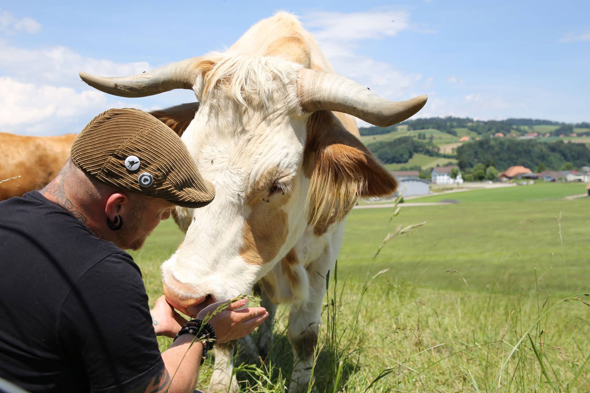 Für Tiere wählen