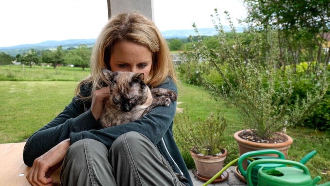 „Das Katzenleid in der Schweiz ist riesig“
