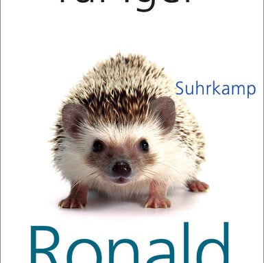 „Gerechtigkeit für Igel“ (Ronald Dworkin)